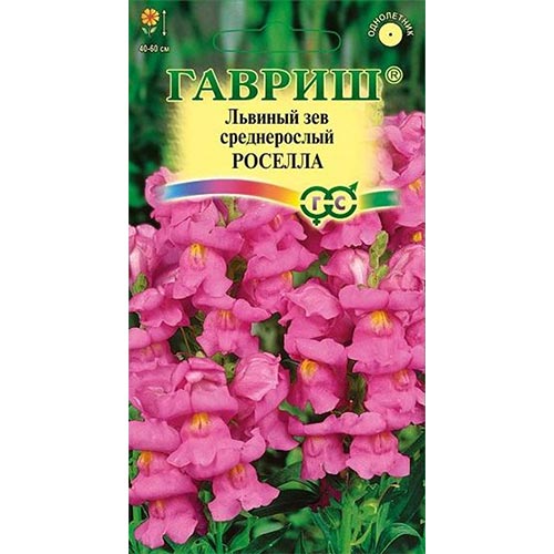 Антирринум (львиный зев) Роселла, семена изображение 1 артикул 91905