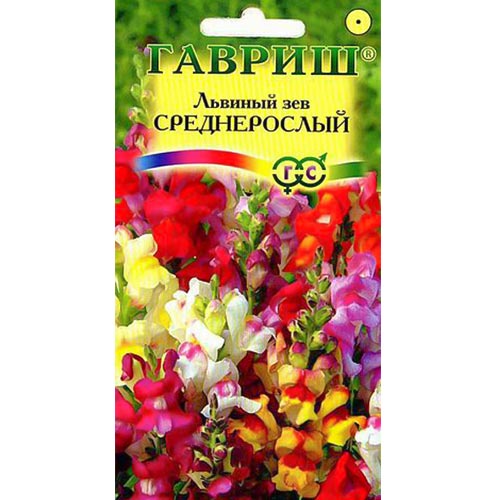 Антирринум (львиный зев) Среднерослый, смесь окрасок артикул фото 1 Антирринум (львиный зев) Среднерослый, смесь окрасок изображение 1 артикул 91906