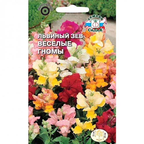 Антирринум (львиный зев) Веселые гномы, смесь окрасок изображение 1 артикул 93638