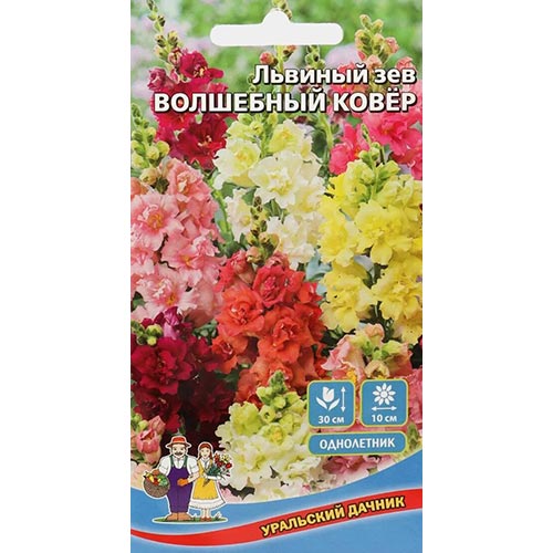 Антирринум (львиный зев) Волшебный ковер, смесь окрасок артикул фото 1 Антирринум (львиный зев) Волшебный ковер, смесь окрасок изображение 1 артикул 94760