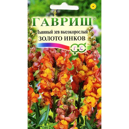 Антирринум (львиный зев) Золото инков, семена изображение 1 артикул 91900