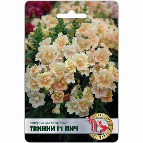 Антирринум Твинни Пич F1 Биотехника изображение 1 артикул 74045
