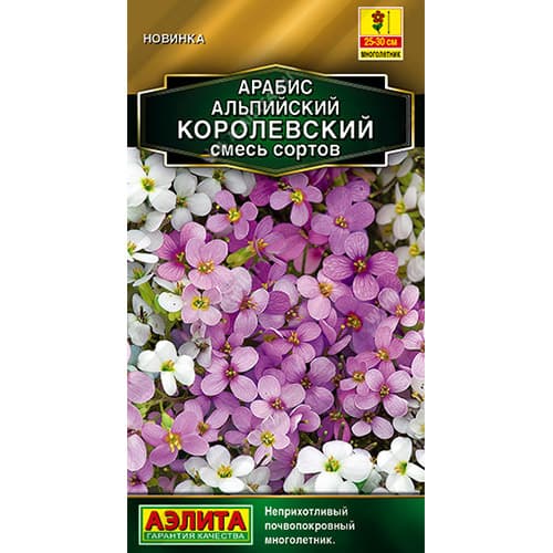 Арабис альпийский Королевский Аэлита изображение 1 артикул 98822