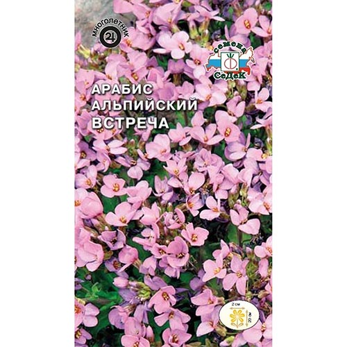 Арабис альпийский Встреча, семена изображение 1 артикул 93643