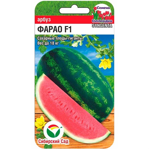 Арбуз Фарао, семена изображение 1 артикул 94313