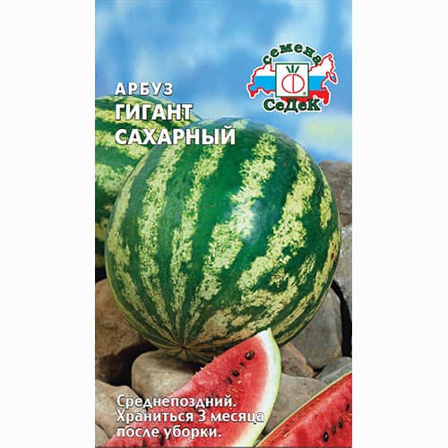 Арбуз Гигант сахарный Седек артикул фото 1 Арбуз Гигант сахарный Седек изображение 1 артикул 93248