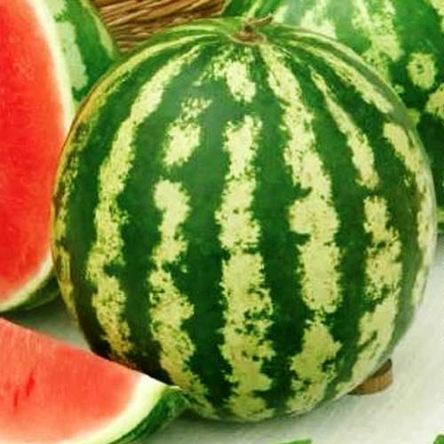 Арбуз Кримглоб F1 Седек изображение 1 артикул 82469