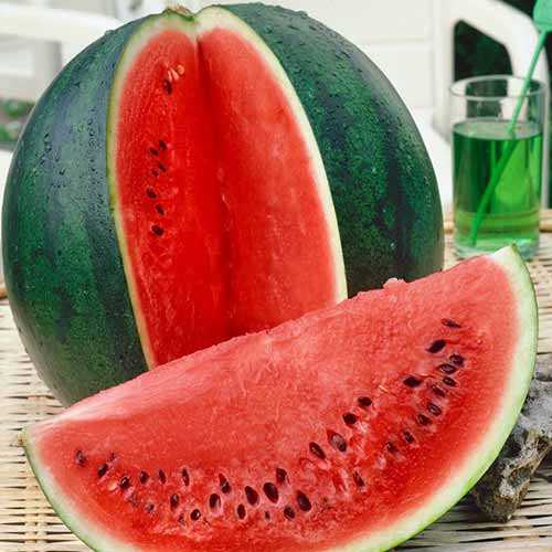 Арбуз Русский деликатес изображение 1 артикул 78403