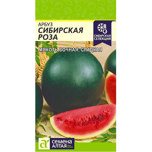 Арбуз Сибирская Роза Семена Алтая артикул фото 1 Арбуз Сибирская Роза Семена Алтая изображение 1 артикул 84704