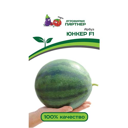 Арбуз Юнкер F1 Партнер изображение 1 артикул 81001