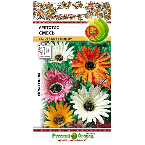 Арктотис, смесь окрасок изображение 1 артикул 92417
