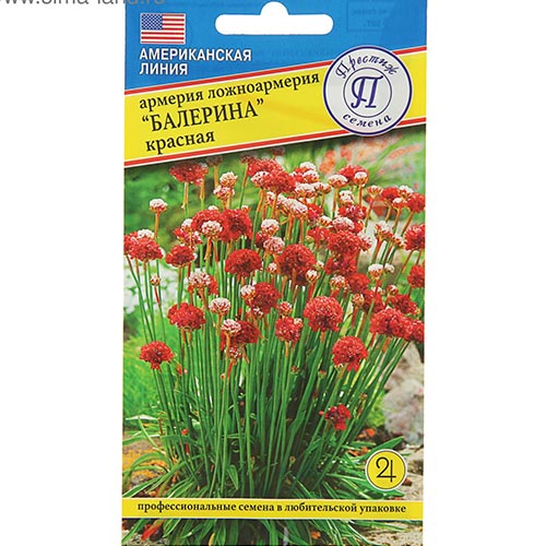 Армерия Балерина красная Престиж изображение 1 артикул 84425