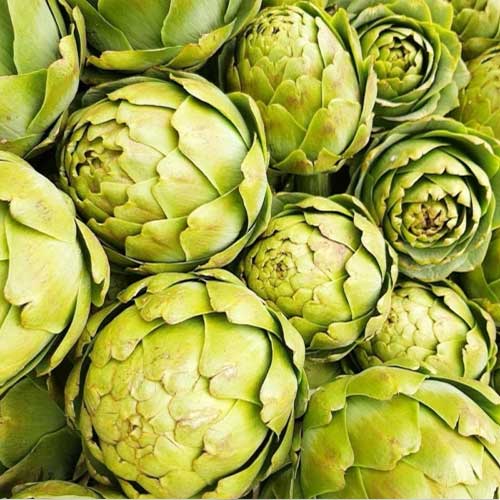 Артишок Гурман Русский огород НК артикул фото 1 Артишок Гурман Русский огород НК изображение 1 артикул 84997