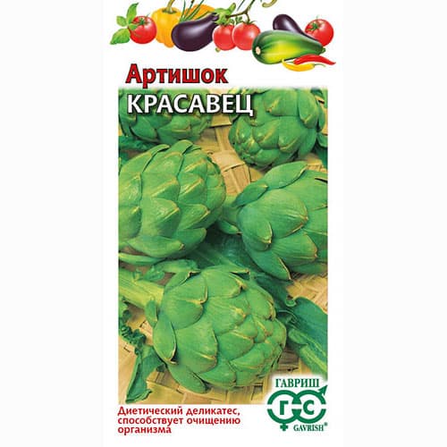 Артишок Красавец Гавриш изображение 1 артикул 71004