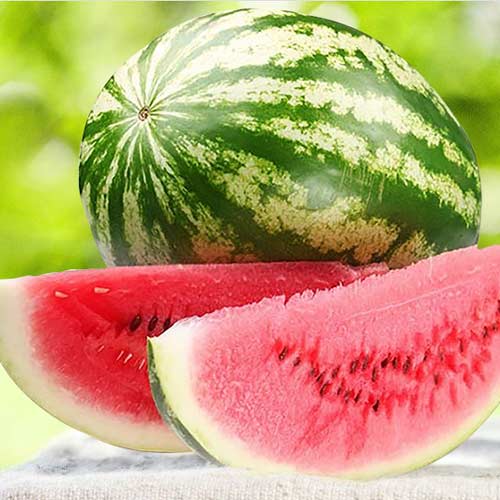 Арбуз Волжанин Седек артикул фото 1 Арбуз Волжанин Седек изображение 1 артикул 71606