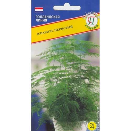 Аспарагус перистый Престиж изображение 1 артикул 65786