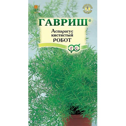 Аспарагус Робот, семена артикул фото 1 Аспарагус Робот, семена изображение 1 артикул 91616