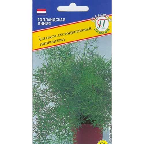 Аспарагус густоцветковый Шпренгера Престиж изображение 1 артикул 71409