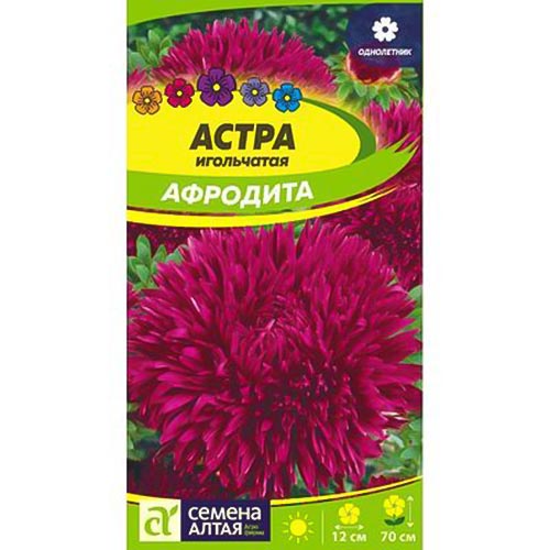 Астра Афродита, семена артикул фото 1 Астра Афродита, семена изображение 1 артикул 94116