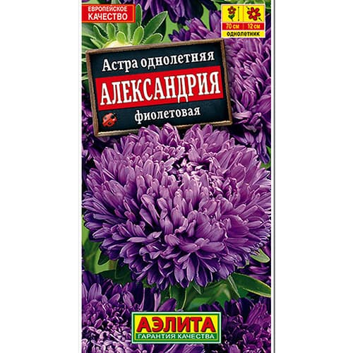Астра Александрия фиолетовая Аэлита артикул фото 1 Астра Александрия фиолетовая Аэлита изображение 1 артикул 98837