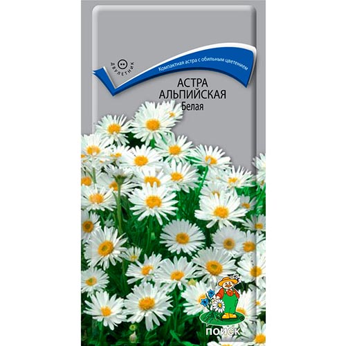 Астра альпийская Белая, семена артикул фото 1 Астра альпийская Белая, семена изображение 1 артикул 92866