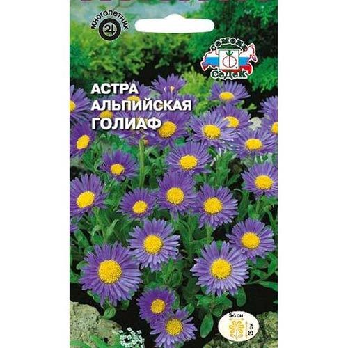 Астра альпийская Голиаф, семена артикул фото 1 Астра альпийская Голиаф, семена изображение 1 артикул 93646