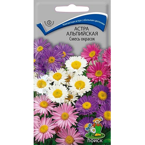 Астра альпийская, смесь окрасок артикул фото 1 Астра альпийская, смесь окрасок изображение 1 артикул 92868
