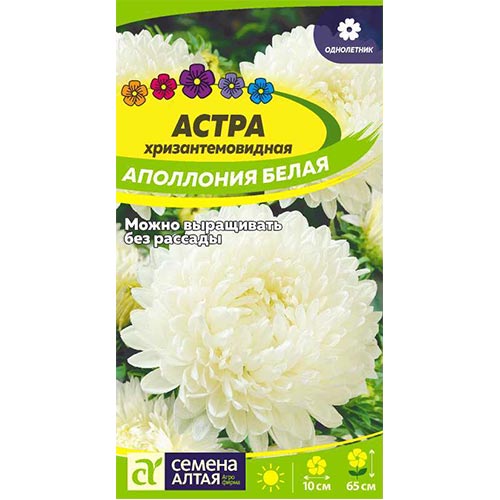 Астра Аполлония Белая, семена изображение 1 артикул 94115