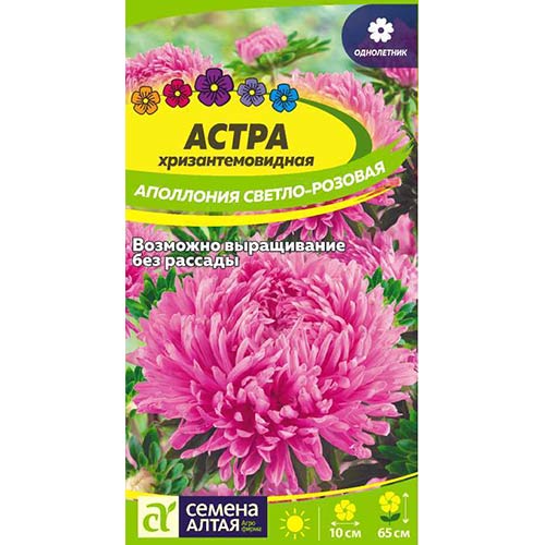 Астра Аполлония светло-розовая Семена Алтая артикул фото 1 Астра Аполлония светло-розовая Семена Алтая изображение 1 артикул 84788