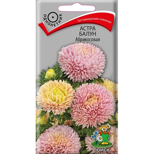 Астра Балун Абрикосовая, семена артикул фото 1 Астра Балун Абрикосовая, семена изображение 1 артикул 92869
