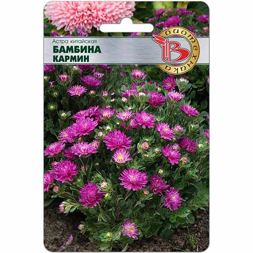 Астра Бамбина Кармин Биотехника изображение 1 артикул 84599