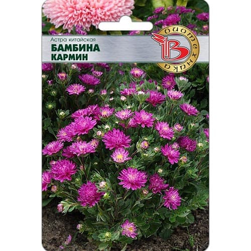 Астра Бамбина Кармин, семена изображение 1 артикул 91542