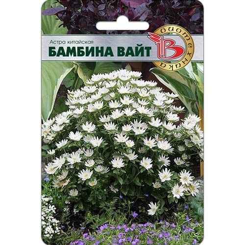 Астра Бамбина Вайт, семена изображение 1 артикул 91541