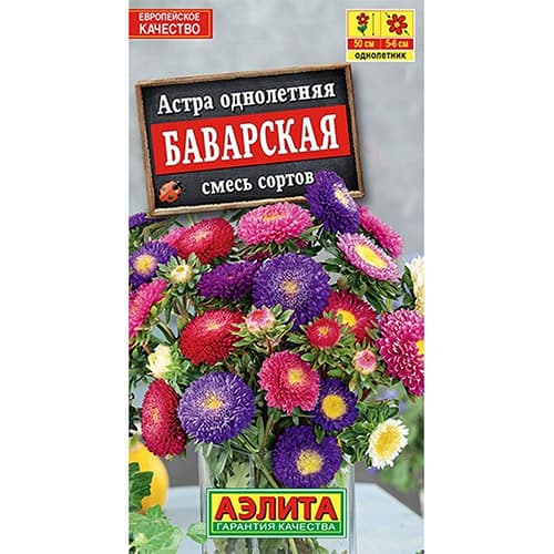 Астра Баварская Аэлита изображение 1 артикул 98838