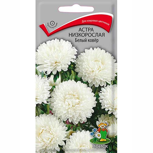 Астра Белый ковер Поиск изображение 1 артикул 82049