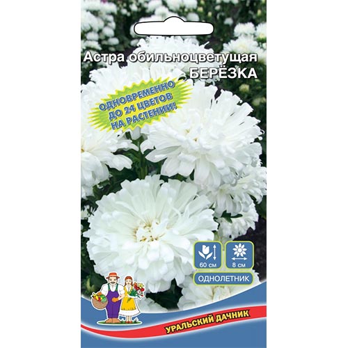 Астра Березка, семена изображение 1 артикул 94762