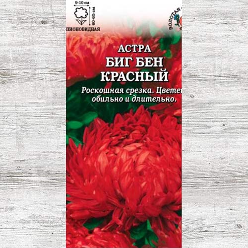 Астра Биг Бен красный изображение 1 артикул 83652