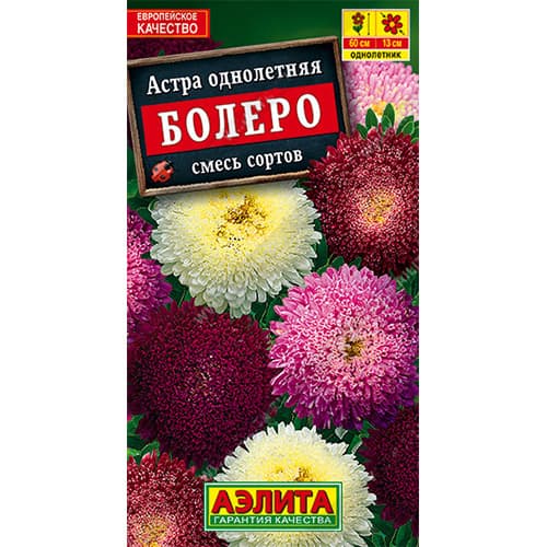 Астра Болеро, смесь окрасок артикул фото 1 Астра Болеро, смесь окрасок изображение 1 артикул 94117