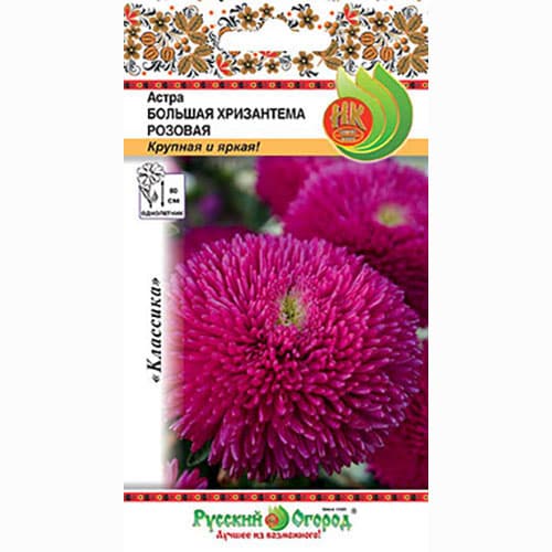 Астра Большая хризантема розовая Русский огород НК изображение 1 артикул 92420