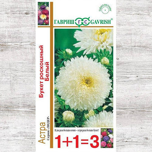 Астра Букет роскошный белый Гавриш изображение 1 артикул 73779
