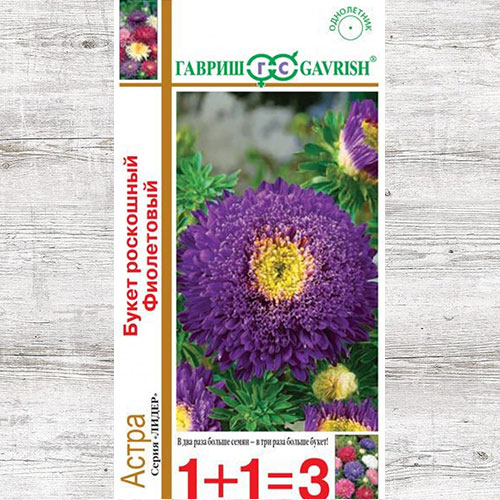 Астра Букет роскошный фиолетовый Гавриш изображение 1 артикул 73783