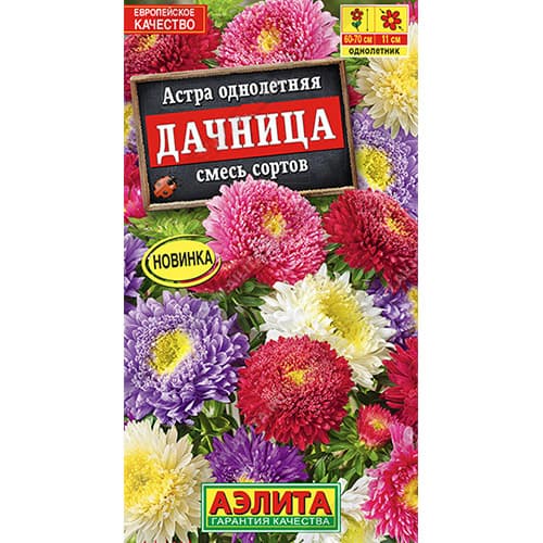 Астра Дачница Аэлита изображение 1 артикул 98844