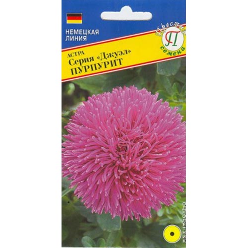 Астра Джуэл Пурпурит Престиж изображение 1 артикул 84433