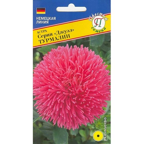 Астра Джуэл Турмалин Престиж изображение 1 артикул 84436