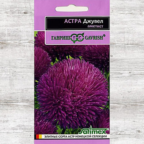 Астра Джувел Аметист Гавриш изображение 1 артикул 73784