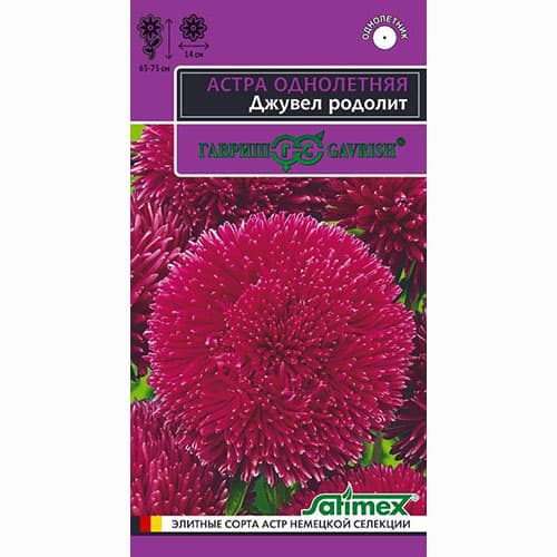Астра игольчато-коготковая Джувел Родолит Гавриш изображение 1 артикул 73787