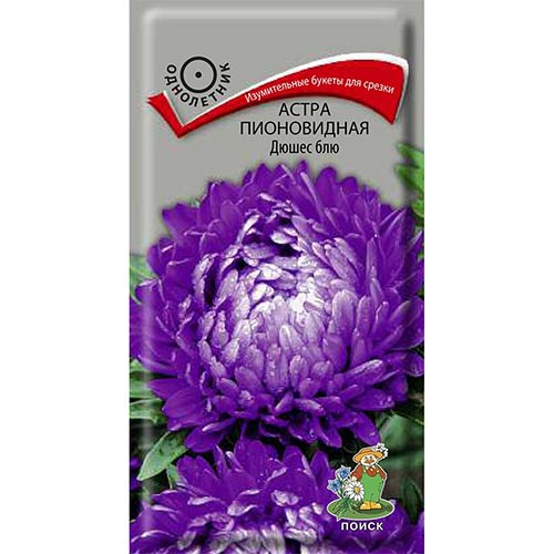 Астра Дюшес Блю Поиск артикул фото 1 Астра Дюшес Блю Поиск изображение 1 артикул 82057