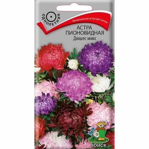 Астра Дюшес, смесь окрасок Поиск изображение 1 артикул 82061