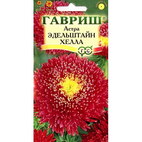 Астра Эдельштайн Хелла, семена артикул фото 1 Астра Эдельштайн Хелла, семена изображение 1 артикул 91947