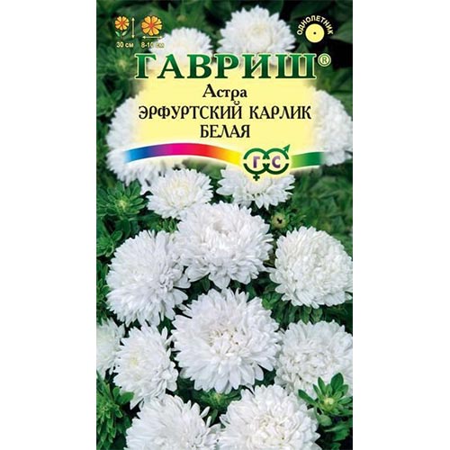 Астра Эрфуртский карлик Белая, семена изображение 1 артикул 91948